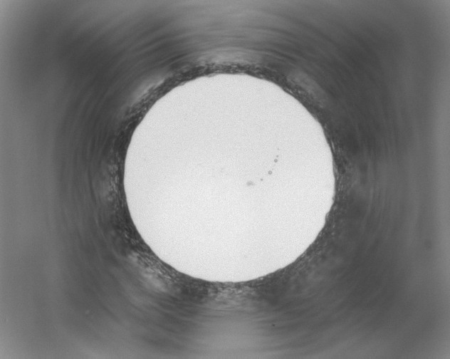 X0000053070824200507251457