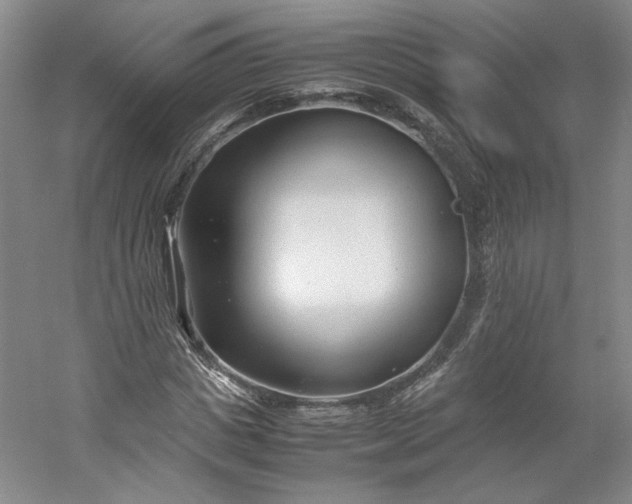 X0000053070825200507251457