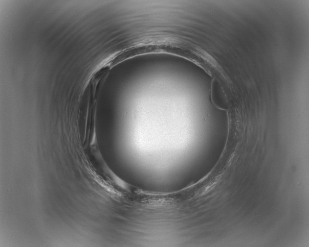 X0000053070826200507251457