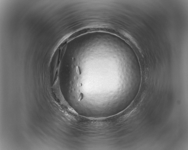 X0000053070829200507251457