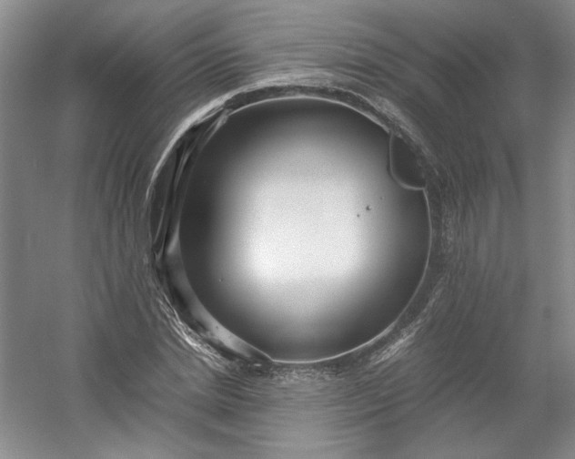 X0000053070830200507251457