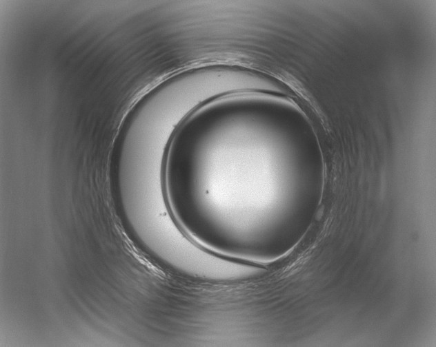 X0000053070834200507251457