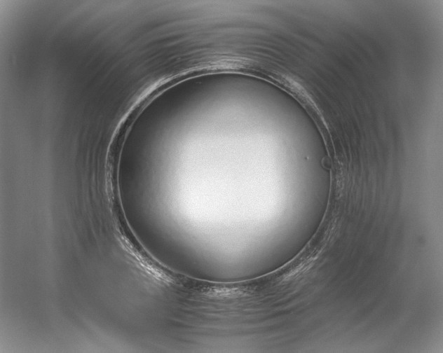 X0000053070835200507251457