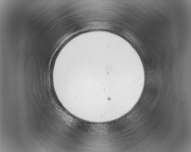 X0000053070836200507251457