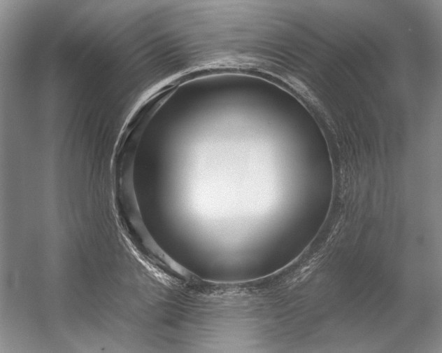 X0000053070838200507251457