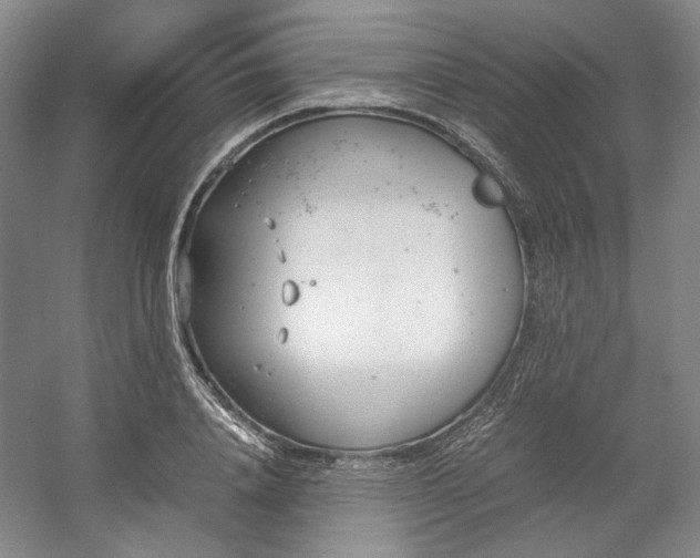 X0000053070840200507251457