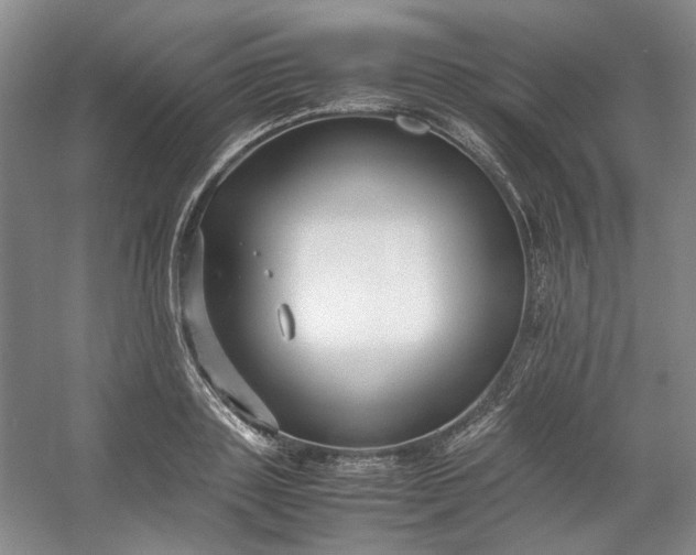 X0000053070843200507251457