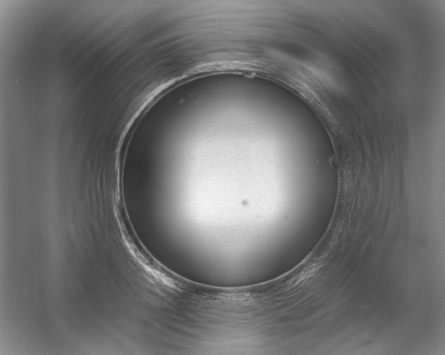 X0000053070844200507251457