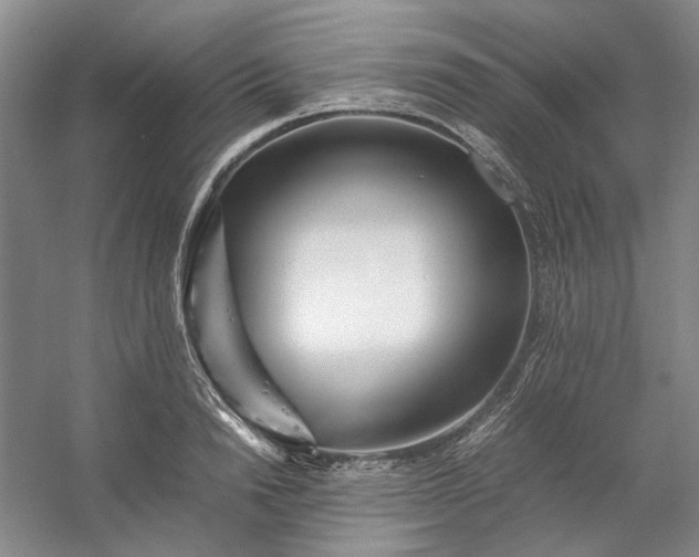 X0000053070846200507251457