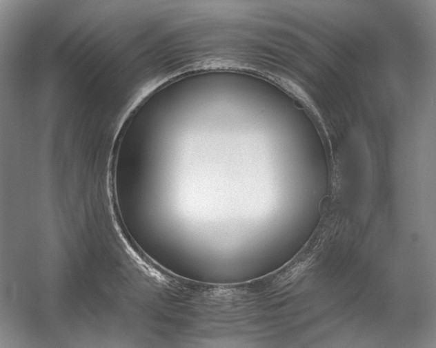 X0000053070847200507251457