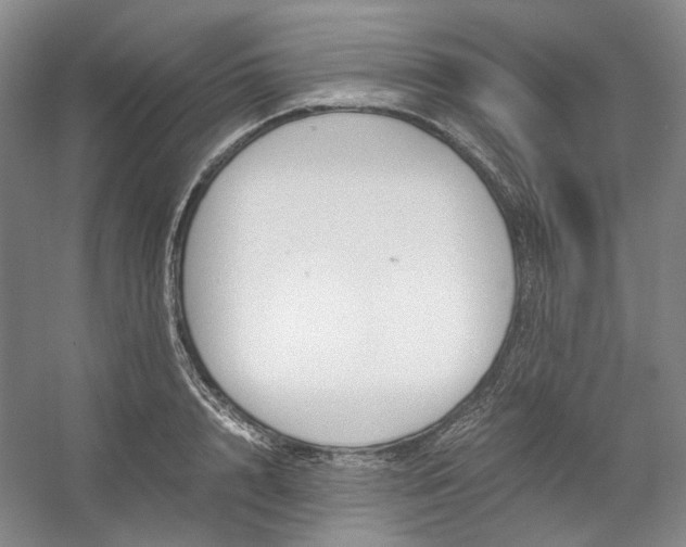 X0000053070848200507251457