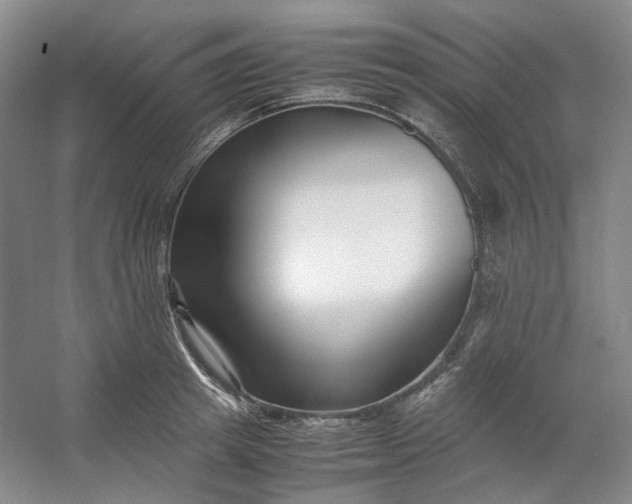 X0000053070849200507251457