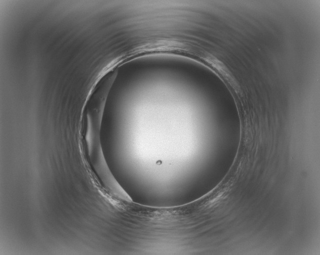 X0000053070850200507251457