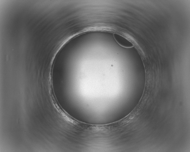 X0000053070852200507251457