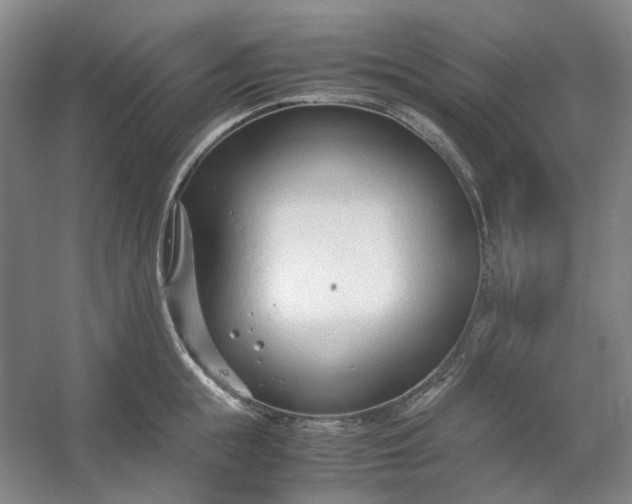 X0000053070855200507251458