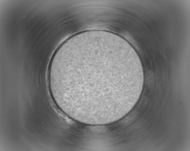 X0000053070856200507251458