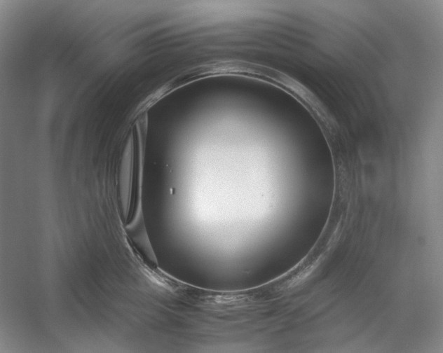 X0000053070857200507251458