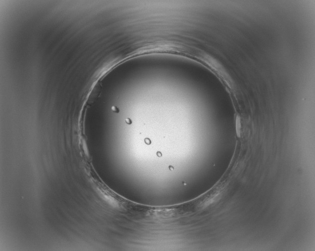 X0000053070858200507251458