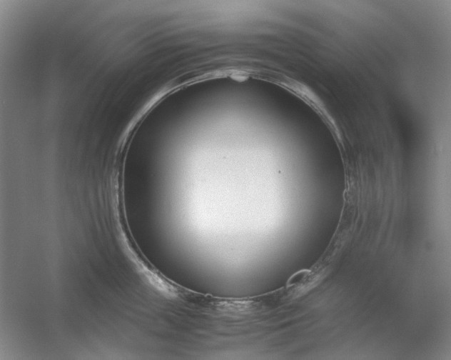 X0000053070859200507251458