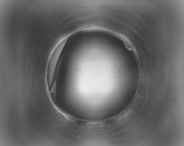 X0000053070863200507251458