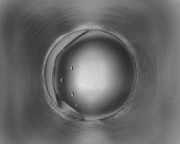 X0000053070864200507251458