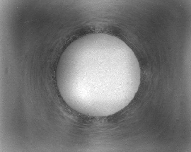 X0000053070865200507251457