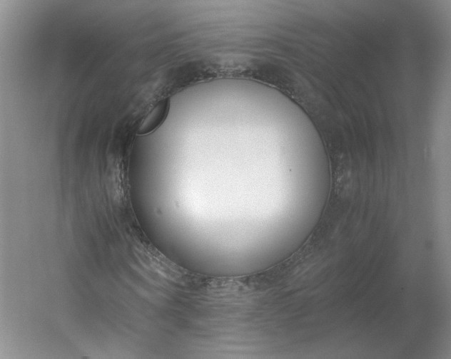 X0000053070866200507251457