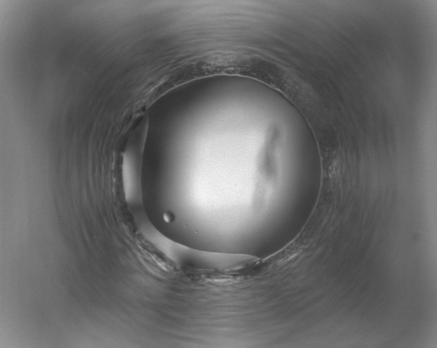 X0000053070868200507251457