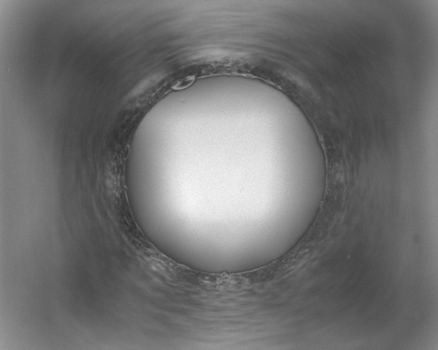 X0000053070869200507251457