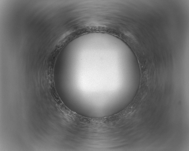 X0000053070870200507251457