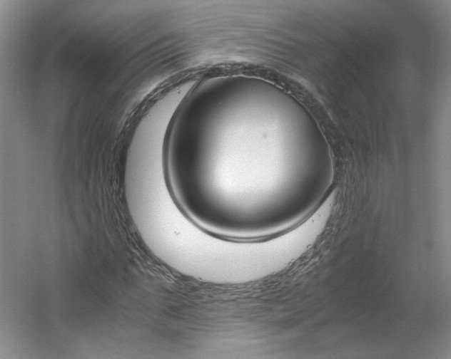 X0000053070871200507251457