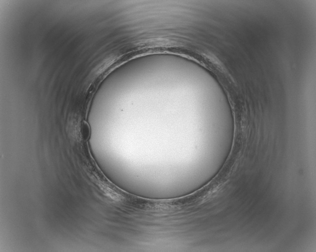 X0000053070873200507251457