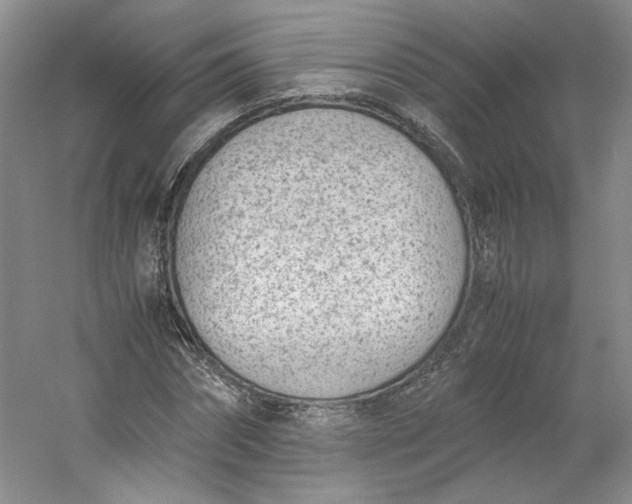 X0000053070874200507251457