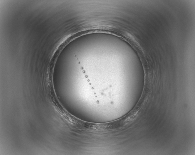 X0000053070875200507251457