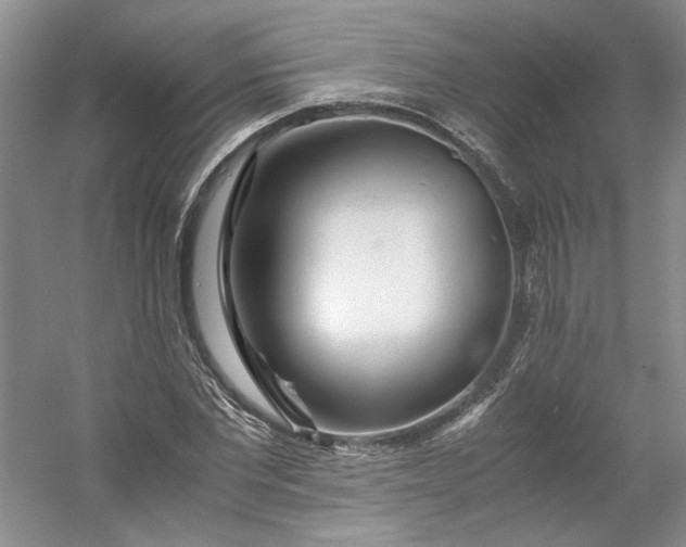 X0000053070877200507251457