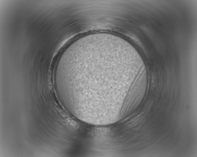 X0000053070878200507251457