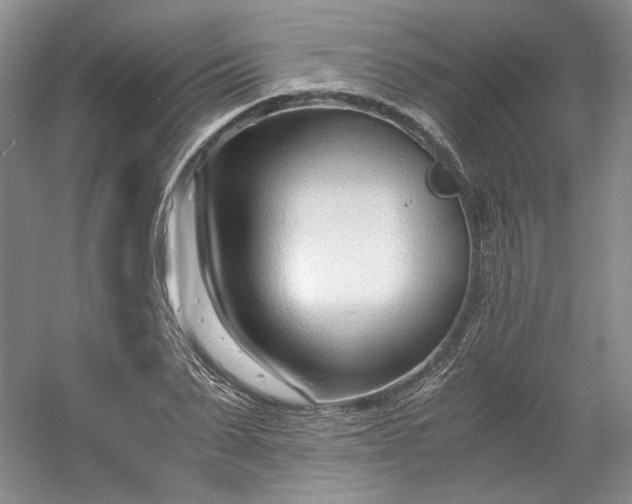 X0000053070879200507251457