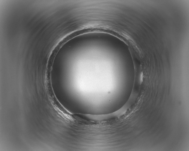 X0000053070880200507251457