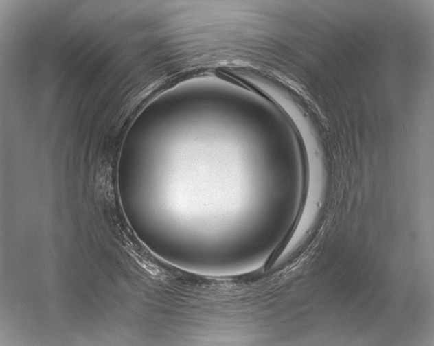 X0000053070881200507251457