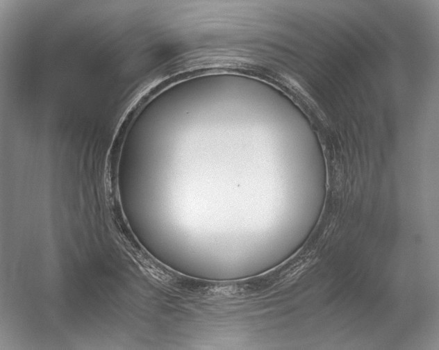 X0000053070883200507251457