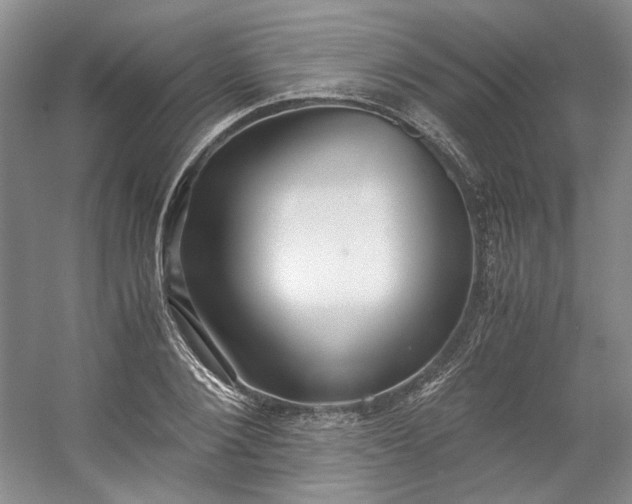 X0000053070884200507251457