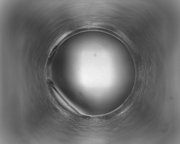 X0000053070885200507251457