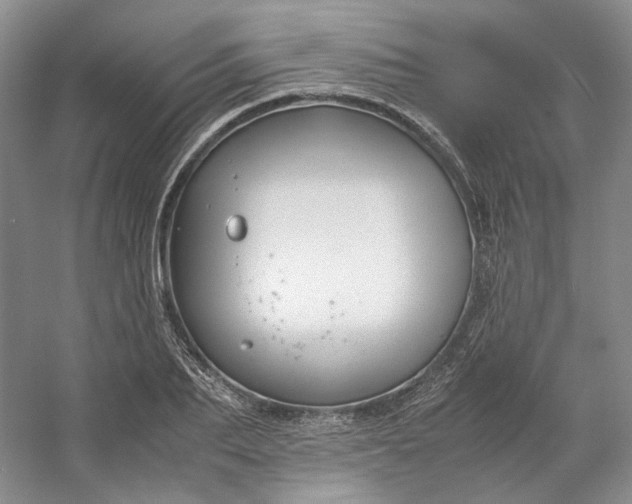 X0000053070887200507251456