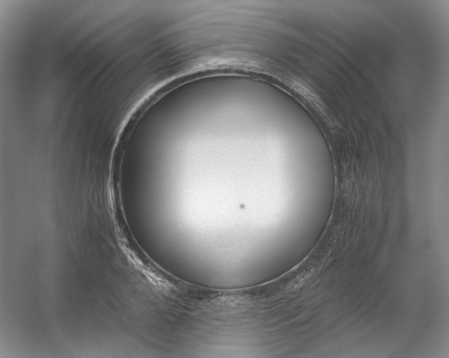 X0000053070888200507251456