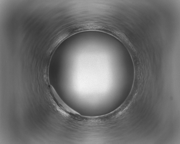 X0000053070889200507251456