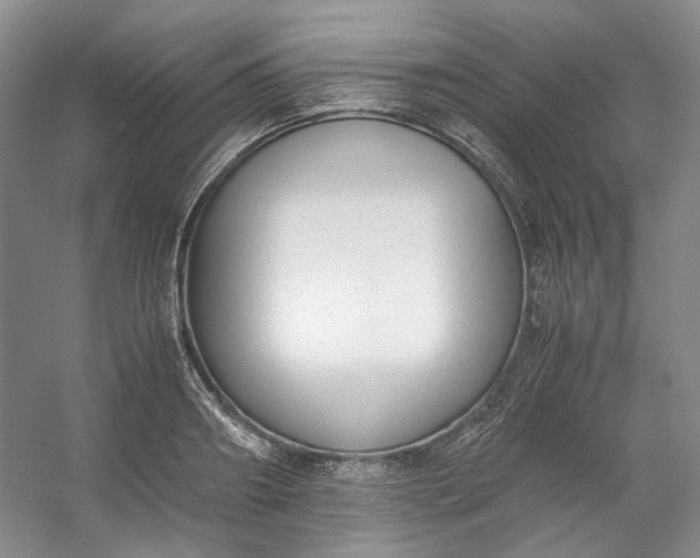 X0000053070890200507251456