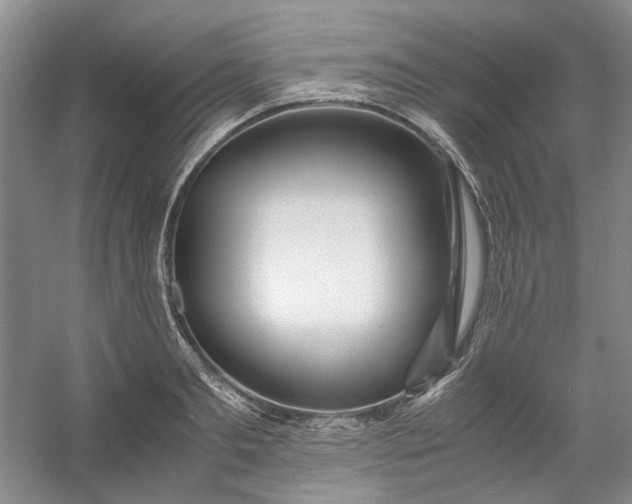 X0000053070893200507251456