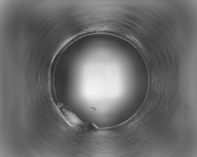 X0000053070894200507251456