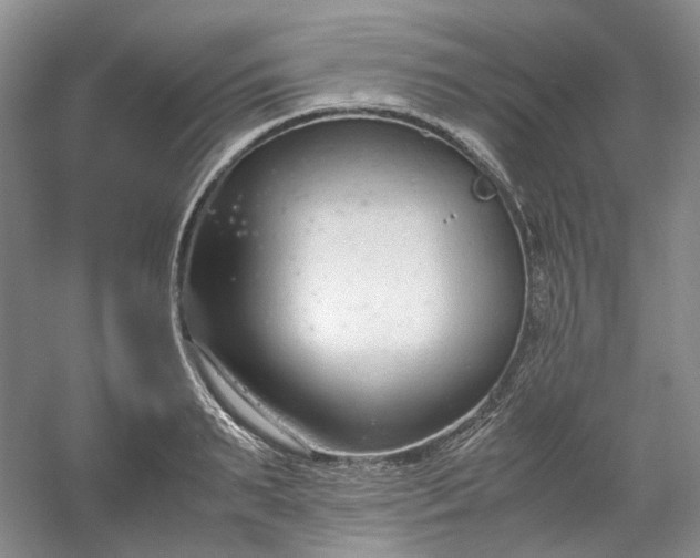 X0000053070895200507251456