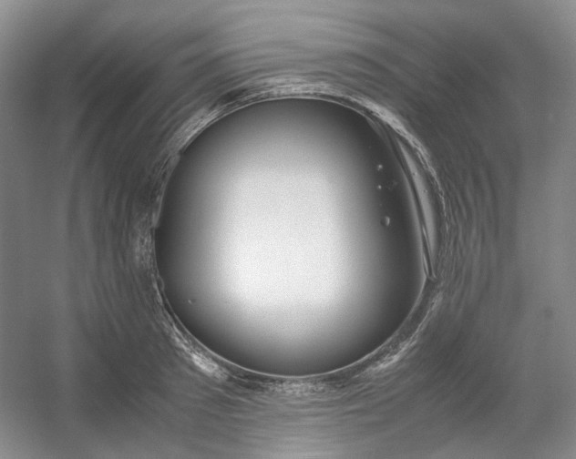 X0000053070897200507251456